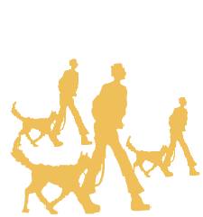 Balades éducatives canines